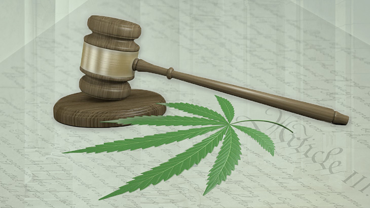 judge's gavel and marijuana leaves