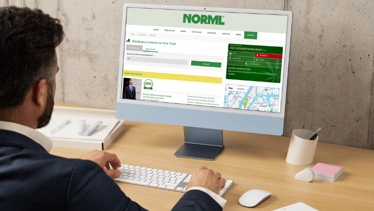 Norml Members Join the NORML Legal Committee