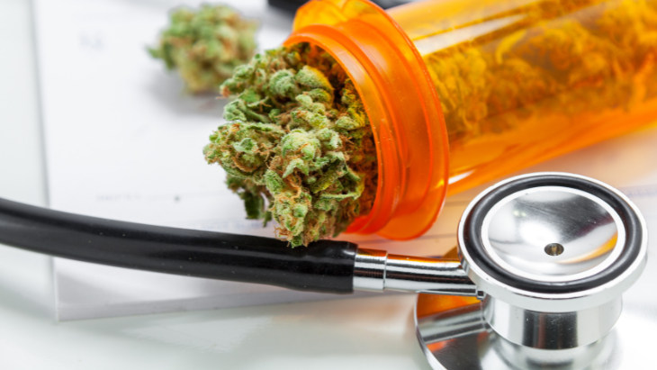Survey: Most Primary Care Physicians Say They Are “Not Comfortable” Counseling Patients About Medical Cannabis