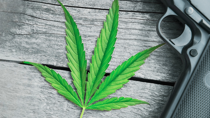 Justice Department Brief Urges SCOTUS To Uphold Federal Gun Ban for Cannabis Consumers