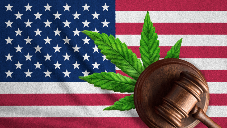 NORML Defends Cannabis Consumers’ Constitutional Rights