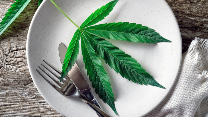 Survey: Patients With Eating Disorders Frequently Report Benefits From Cannabis